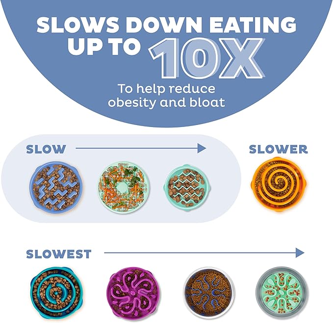 Outward Hound Medium Slow Feeder Bowl, Puzzle Maze for Fast Eaters, Small to Medium Dogs, Helps Prevent Bloat & Aid Digestion, Holds 2 Cups Wet or Dry Food, Non-Slip, Made Without BPA, Blue