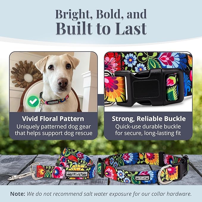 Lucky Love Dog - Easy Click Buckle Dog Collar with Leash Set Combo, Durable & Comfortable for Male & Female Dogs, Pet Collar for Small to Large Dogs, Secure Fit - Blackbird Combo, Large
