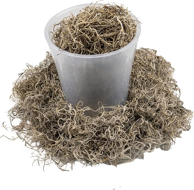 Premium Natural Spanish Moss | Natural Preserved - 20 Quart - Great Ground Cover - Filler for Potted Plants (4 Bags of 5 Quart)