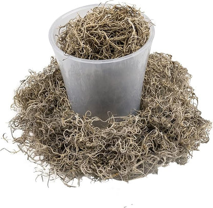 Premium Natural Spanish Moss | Natural Preserved - 20 Quart - Great Ground Cover - Filler for Potted Plants (4 Bags of 5 Quart)