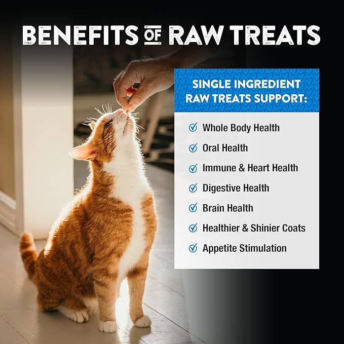 Northwest Naturals Raw Rewards Freeze-Dried Chicken Heart Treats for Dogs and Cats - Bite-Sized Pieces - Healthy, 1 Ingredient, Human Grade Pet Food, All Natural, Proudly Made in USA, 10 Oz