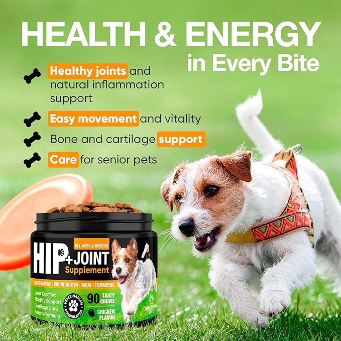 Glucosamine & Chondroitin for Dogs – Hip and Joint Supplement Chews with MSM, Vitamin C, Turmeric, Omega-3 for All Breeds – Pain & Mobility Support – 2-Month Supply – Chicken Flavor