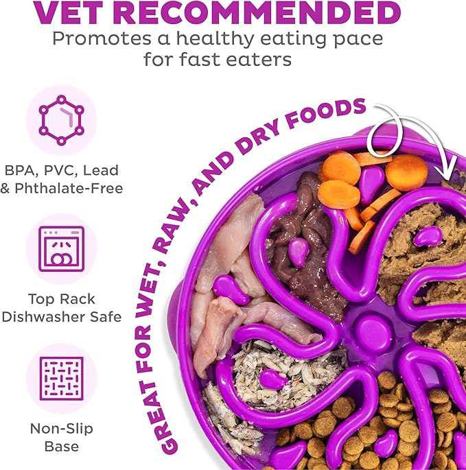 Outward Hound Large Slow Feeder Bowl, Puzzle Maze for Fast Eaters, Medium to Large Dogs, Helps Prevent Bloat & Aid Digestion, Holds 4 Cups Wet or Dry Food, Non-Slip, Made Without BPA, Purple
