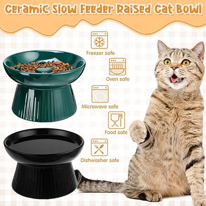 Tioncy 2 Pcs Raised Cat Slow Feeder Bowl Ceramic Elevated Cat Dog Food Bowl No Spill High Edge for Dry Wet Food and Water Easy to Clean, Dishwasher Safe(Dark Green, Black)