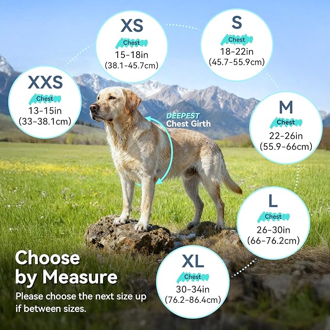 VIVAGLORY Wetoff Dog Raincoat, Rain Coat for Dog All Seasons Adventure, Rain Jacket with Harness Hole & Hood, Reflective Lightweight Waterproof for Doggy & Puppy, M, Blue