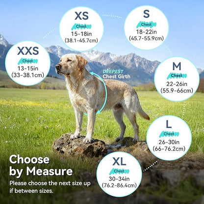 VIVAGLORY Wetoff Dog Raincoat, Rain Coat for Dog All Seasons Adventure, Rain Jacket with Harness Hole & Hood, Reflective Lightweight Waterproof for Doggy & Puppy, XXS, Blue