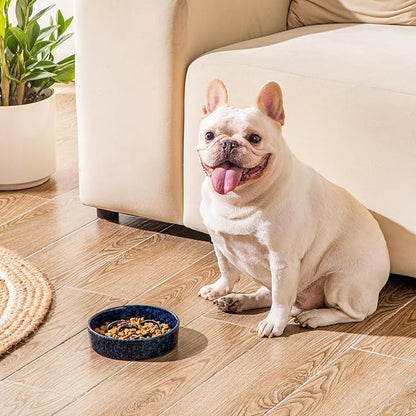 vancasso Slow Feeder Dog Bowl, 0.6 Cups Ceramic Dog Food Dish for Fast Eaters Small Breed, Puzzle Bowl for Small Dogs and Cats, Blue