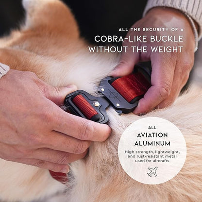 MADE TO ROAM Comfort Collar - Adjustable Nylon Dog Collar with Soft Comfortable Padding, Light Aviation Aluminum Metal Buckle for Small, Medium and Large Dogs (Maine Marina, Size 2)