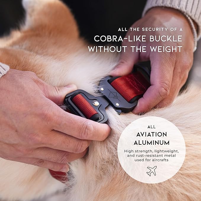 MADE TO ROAM Comfort Collar - Adjustable Nylon Dog Collar with Soft Comfortable Padding, Light Aviation Aluminum Metal Buckle for Small, Medium and Large Dogs (Nevada Evening, Size 3)