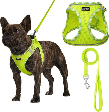 AMTOR Small Dog Harness with Leash Set, No Escape Easy Walk Puppy Harnesses for Training Walking, Step-in Reflective Soft Dogs Vest for XS S Medium Extra-Small Large Sized Dog(XL Size,Green/White)