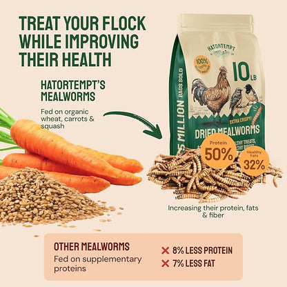 Hatortempt Bulk Dried Mealworms - 10 Lb Bag - Non-GMO Dried Mealworms for Chickens, Ducks & Wild Birds - High-Protein Chicken Feed & Bird Food