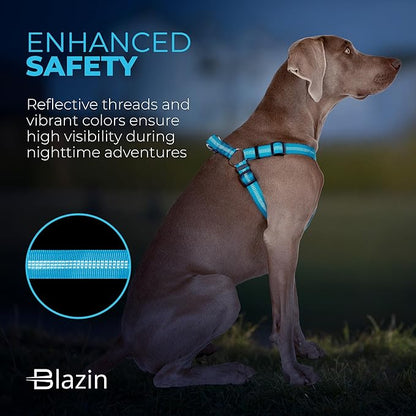 BLAZIN Reflective Dog Harness - 'Color Me Happy!' Adjustable Step-in Reflective Nylon Vest Harness - Neoprene Padded for Extra Comfort (Large, Blue)