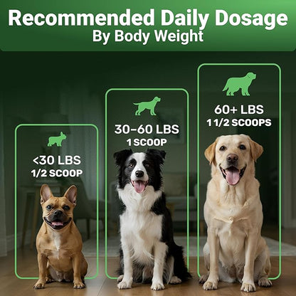 WuffWell Super Greens Powder for Dogs – Spirulina, Chlorella, Moringa, Glucosamine & Turmeric – Joint, Immune & Skin Support – Beef Flavor – Natural Dog Supplements – Vet Approved – Made in USA