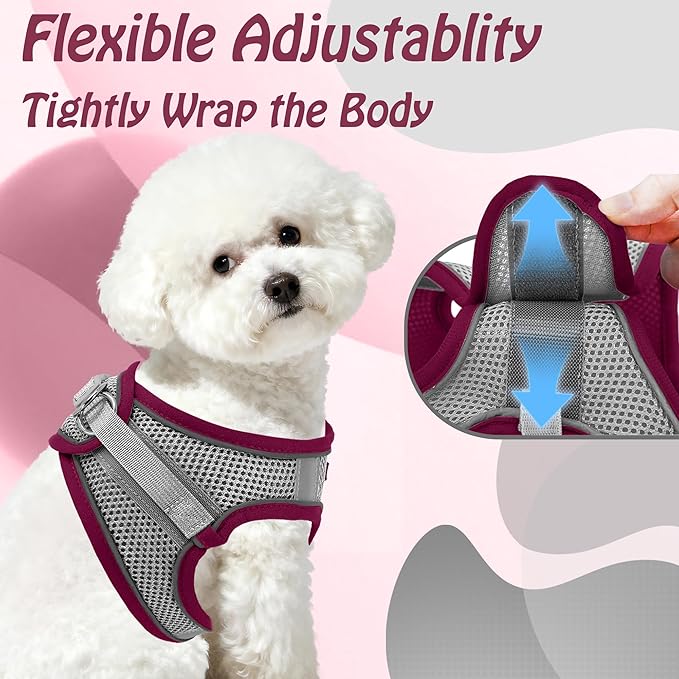 AIITLE Dog Harness, Summer No-Pull Cat Harness with a Leash, Adjustable Reflective Dog Vest, Cat Harness Escape Proof, Outdoor Walking, Camping for Extra Small Dogs and House Cats Burgundy XXXS