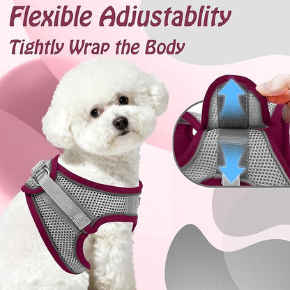 AIITLE Dog Harness, Summer No-Pull Cat Harness with a Leash, Adjustable Reflective Dog Vest, Cat Harness Escape Proof, Outdoor Walking, Camping for Extra Small Dogs and House Cats Burgundy XXXS