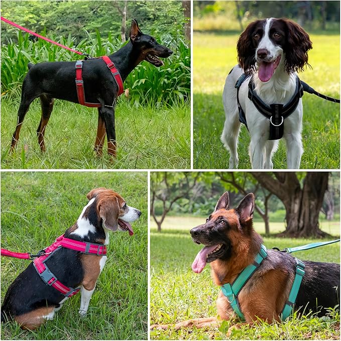 Plutus Pet No Pull Dog Harness, Adjustable Nylon Harness with Soft Padding, Reflective and Heavy Duty Dog Harness for Small, Medium, Large Dogs(Teal, XL)