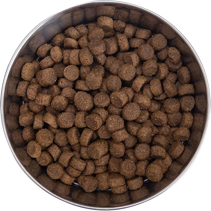 Health Extension Grain Free Chicken & Turkey Dry Dog Food - 30+ Superfoods and Probiotics for All Life Stages (23.5lb)