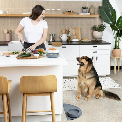 Should We Go? Complete Pet Feeding Set: Slow Feeder & Water Bowl with Spill-Proof Silicone Mat - Ideal for Small to Medium Dogs, Non-Slip, Easy Clean, Raised Edges, Durable Silicone - Charcoal