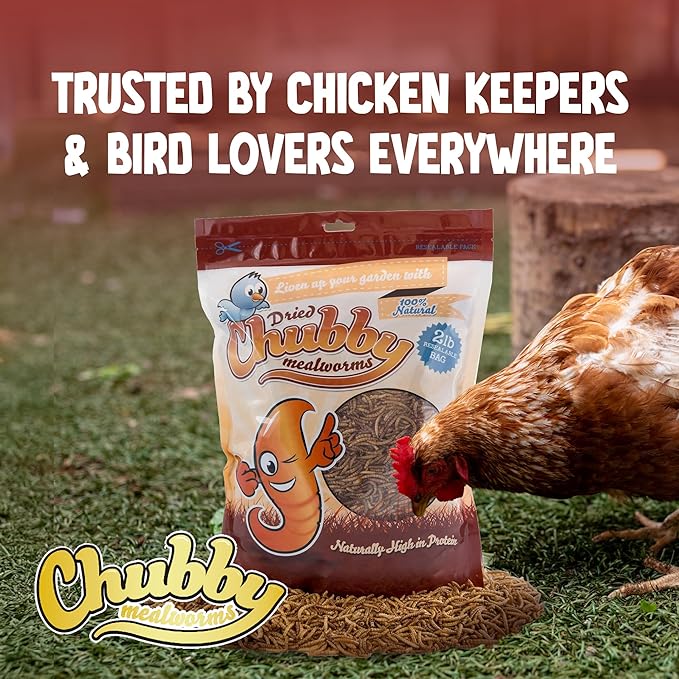 Chubby Dried Mealworms | 5 lbs | High-Protein Non-GMO Treats for Chickens, Ducks, Wild Birds & Backyard Pets
