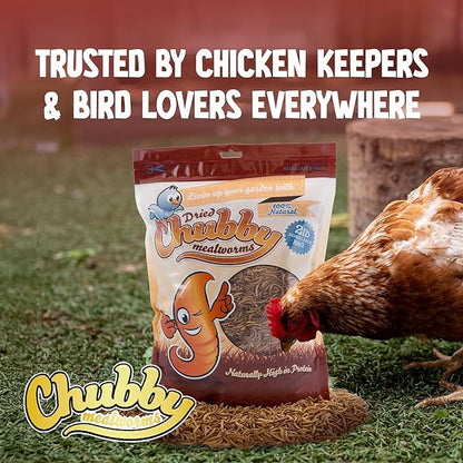 Chubby Dried Mealworms | 5 lbs | High-Protein Non-GMO Treats for Chickens, Ducks, Wild Birds & Backyard Pets