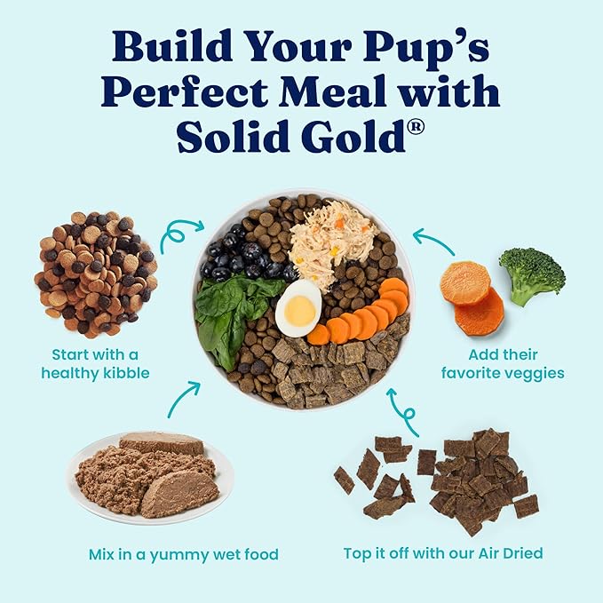 Solid Gold High Protein Wet Dog Food for Large Dogs & Small Dogs - Soft Grain Free Canned Dog Food w/Real Beef, Prebiotics & Superfoods for Gut Health & Immune Support - All Ages - 6ct 13.2oz Cans