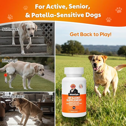 Hip and Joint Supplement for Dogs, Joint Pain Relief Supplement with MSM, Glucosamine, Chondroitin, Support Mobility, Health Chews for Dog, 120 Chews