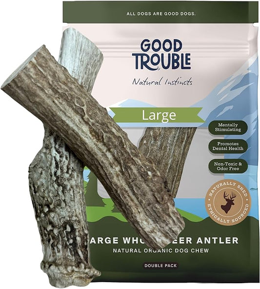 Good Trouble Premium Deer Antlers for Large Dogs – 2 Whole Antlers Pets - North American Sourced for Dental Health & Anxiety Relief - Odor-Free & Non-Toxic Chew Bone for Dogs