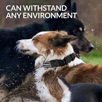 Heavy Duty Dog Collar for Large or Medium Dogs, Adjustable Strong Dog Collar for Active Dogs, Double-Layered Nylon (Black, 14-20)