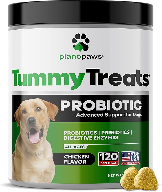 Probiotics for Dogs Digestive Health - Dog Probiotics and Digestive Enzymes - Allergy Relief for Dogs - Probiotic for Dogs Gut Health - Puppy Probiotic Tummy Treats - 120 Dog Probiotic Chews