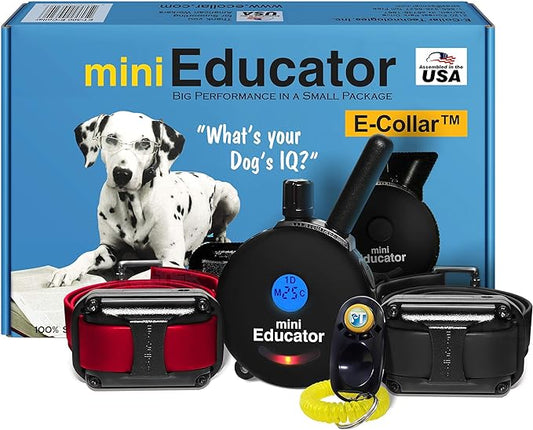 Educator ET-302 Black Mini E Collar for Dog Training with Remote - 1/2 Mile Range, Waterproof, 100 Blunt Stimulation Levels, Tone or Vibration Mode, Night Light for Small, Medium & Large Dogs (2 Dogs)