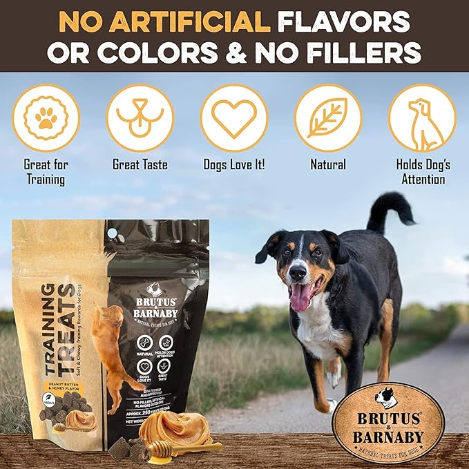 BRUTUS & BARNABY Training Treats for Dogs - Peanut Butter & Honey - All-Natural Healthy Low Calorie Vegetarian Treat - Great to Use for Rewards in Training Your Puppy Or Dog