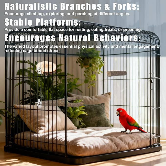 6 PCS Bird Perch Set, Natural Birch Wood Straight & Forked Perches with Platforms for Parakeets, Cockatiels, Conures, Lovebirds - Cage Accessories for Climbing & Exercise