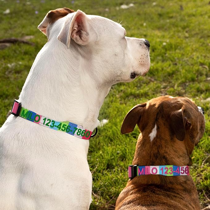Pawtitas Personalized Dog Collar Medium Dog Collar Embroider Name Phone Number Puppy Collar Adjustable Customized Collar for Medium Dogs Breeds Multicolor Dog Collar