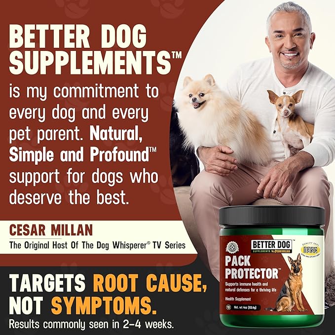 Cesar Millan Better Dog Immune Support Supplement Powder - Pack Protector Immune Support for Dogs, Energy & Internal Balance Dog Supplements w/Proprietary Herbal Blend - 4 oz 60-Day Average Supply
