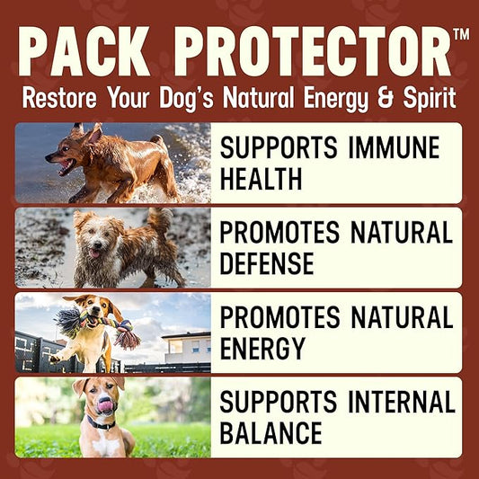 Cesar Millan Better Dog Immune Support Supplement Powder - Pack Protector Immune Support for Dogs, Energy & Internal Balance Dog Supplements w/Proprietary Herbal Blend - 4 oz 60-Day Average Supply