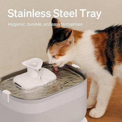 PETLIBRO Cat Water Fountain + PETLIBRO Genuine 6 Packs Filters, Cat Fountain Indoor Stainless Steel Tray, 2.5L/84oz Wireless Pump Pet Water Fountain, Cat Water Dispenser with Two Flow Modes