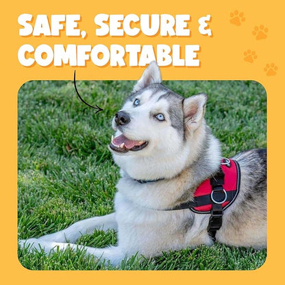 Bark Appeal Blue Hibiscus No-Pull Dog Harness for Large to Extra Large Sized Pets – Adjustable, Reflective Vest with 3 Leash Clips for Added Control, Easy Walks & Training – XL