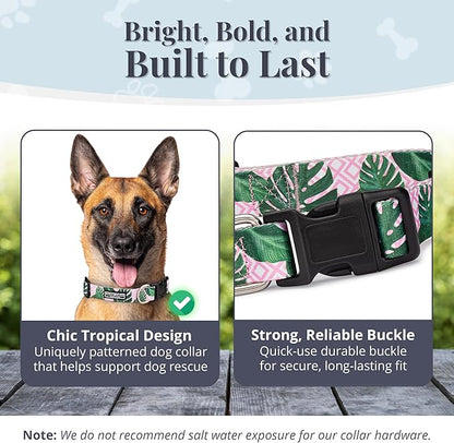 Lucky Love Dog, Tropical Matching Dog Collar & Leash Set, Soft & Comfy, Vivid Pink Color Collar and Leash for Female Male Dogs - (Large, Laguna Combo)