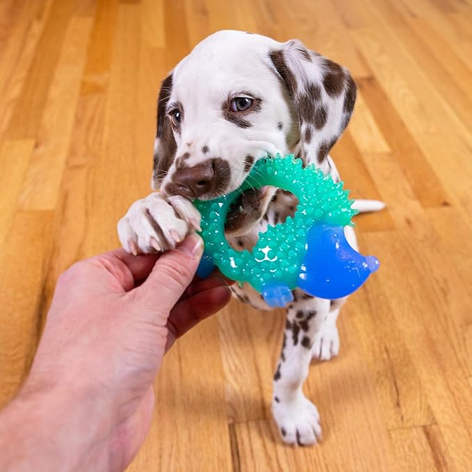 Outward Hound Cutie Chewies Hedgehog Dental Dog Chew Toy, Blue