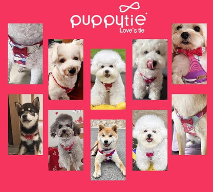 Puppytie No Pull xs Dog Harness with Multifunction Dog Leash,Soft Adjustable No Choke Escape Proof Pet Harness Vest,Suede Bow Wine red,XXS