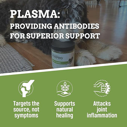 WINPRO Hip & Joint Supplement for Dogs - Plasma Powered Chews for Joint Health & Mobility – Fast-Acting with Collagen & Natural Ingredients for Dogs of All Breeds – 60 Chews – Made in USA