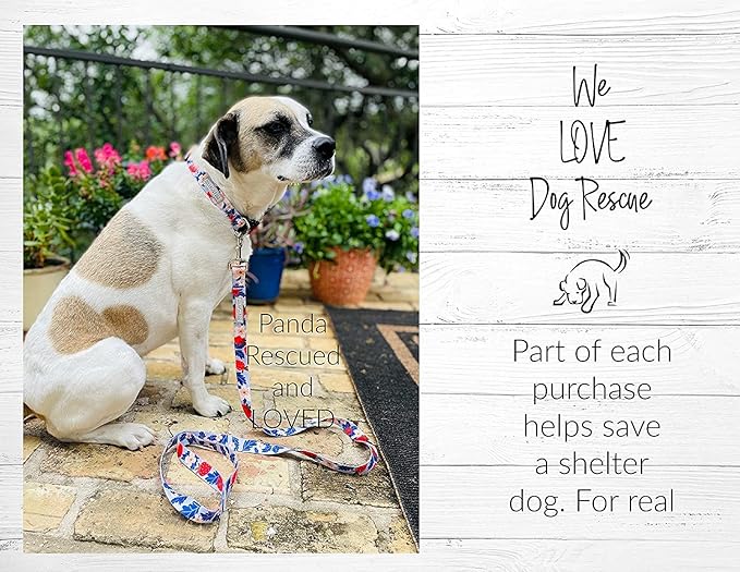 Lucky Love Dog - Easy Click Buckle Dog Collar with Leash Set Combo, Durable & Comfortable for Male & Female Dogs, Pet Collar for Small to Large Dogs, Secure Fit - Sweet Berry Combo, XS