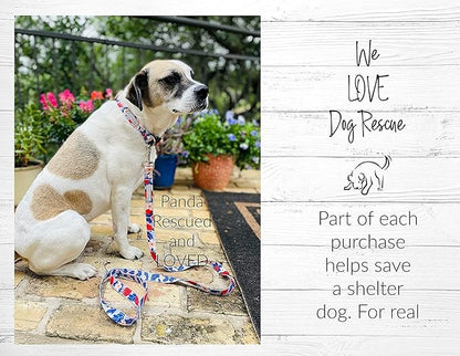 Lucky Love Dog - Easy Click Buckle Dog Collar with Leash Set Combo, Durable & Comfortable for Male & Female Dogs, Pet Collar for Small to Large Dogs, Secure Fit - Sweet Berry Combo, XS