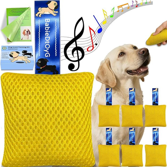 Dog Scent Training Kit with Squeaky Sound – Interactive Nose Work Toys for Dogs, Hide & Seek Scent Games | Mental Stimulation, Anxiety Relief & Obedience Training for All Ages (Yellow)