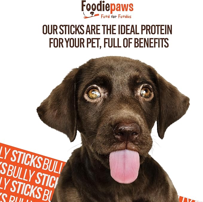 FOODIEPAWS Bully Pop, 8 oz – All-Natural, High Protein Chews for Dogs – Fully Digestible & Grain-Free – Supports Dental Health & Chewing Satisfaction