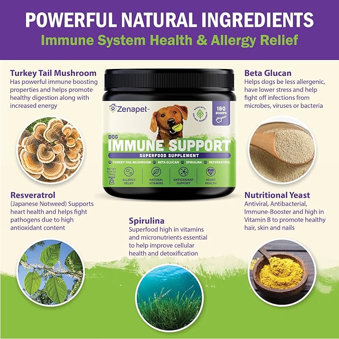 ZENAPET Dog Immune Support Premium Powder Topper, Turkey Tail, Spirulina & Beta-Glucan, Supports a Healthy Immune System & Digestion, Human-Grade, Made in USA
