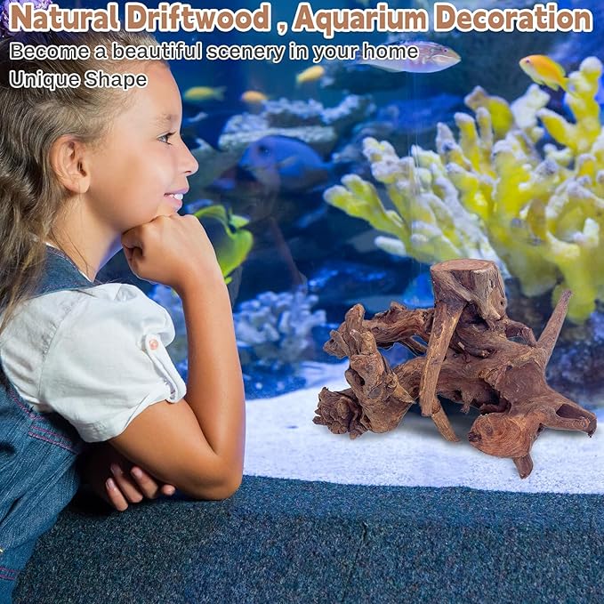 PINVNBY Natural Large Driftwood for Aquarium Fish Tank Decorations, Driftwood for Reptile Tank Bearded Dragon Tank Accessories Terrarium Decor (7.5 to 14.5 inches / 2 Pack)