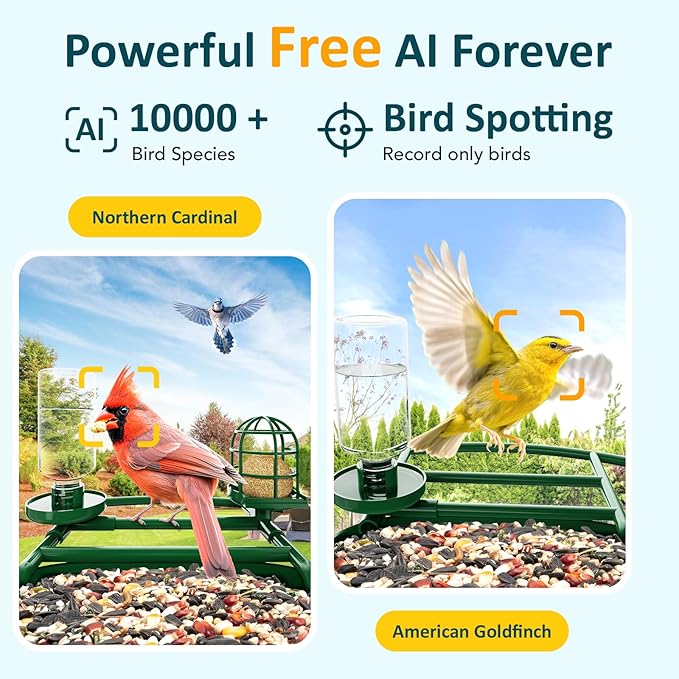 BIRDLEGEND-BL03 2L Large Bird Feeder with Camera Solar Powered, 2K Clarity 3:4 Portrait Free AI Identify Arrival Alerts with 64GB Card Smart Cameras Birds Feeders Wireless Outdoor Gift for Bird Lover