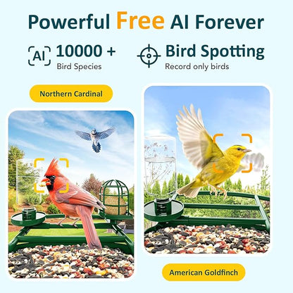 BIRDLEGEND-BL03 2L Large Bird Feeder with Camera Solar Powered, 2K Clarity 3:4 Portrait Free AI Identify Arrival Alerts with 64GB Card Smart Cameras Birds Feeders Wireless Outdoor Gift for Bird Lover