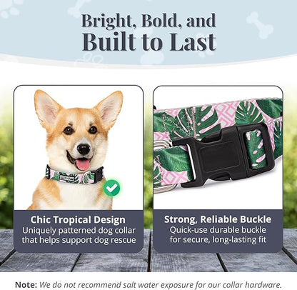 Lucky Love Dog, Tropical Matching Dog Collar & Leash Set, Soft & Comfy, Vivid Pink Color Collar and Leash for Female Male Dogs - (Small, Laguna Combo)